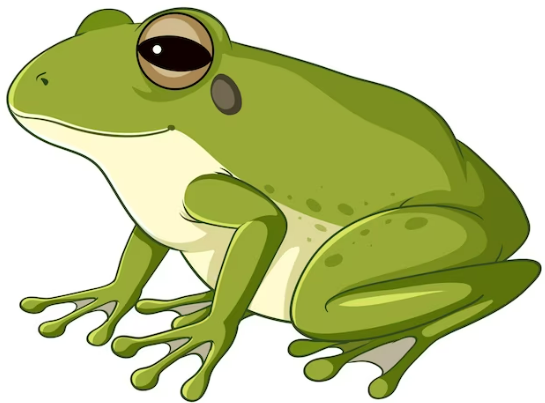 Frog Guts